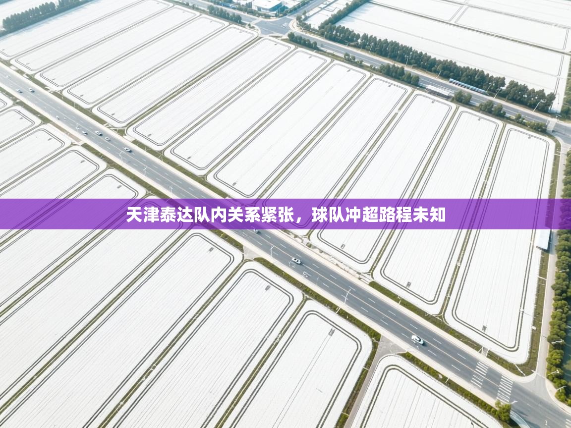 天津泰达队内关系紧张,球队冲超路程未知 第2张