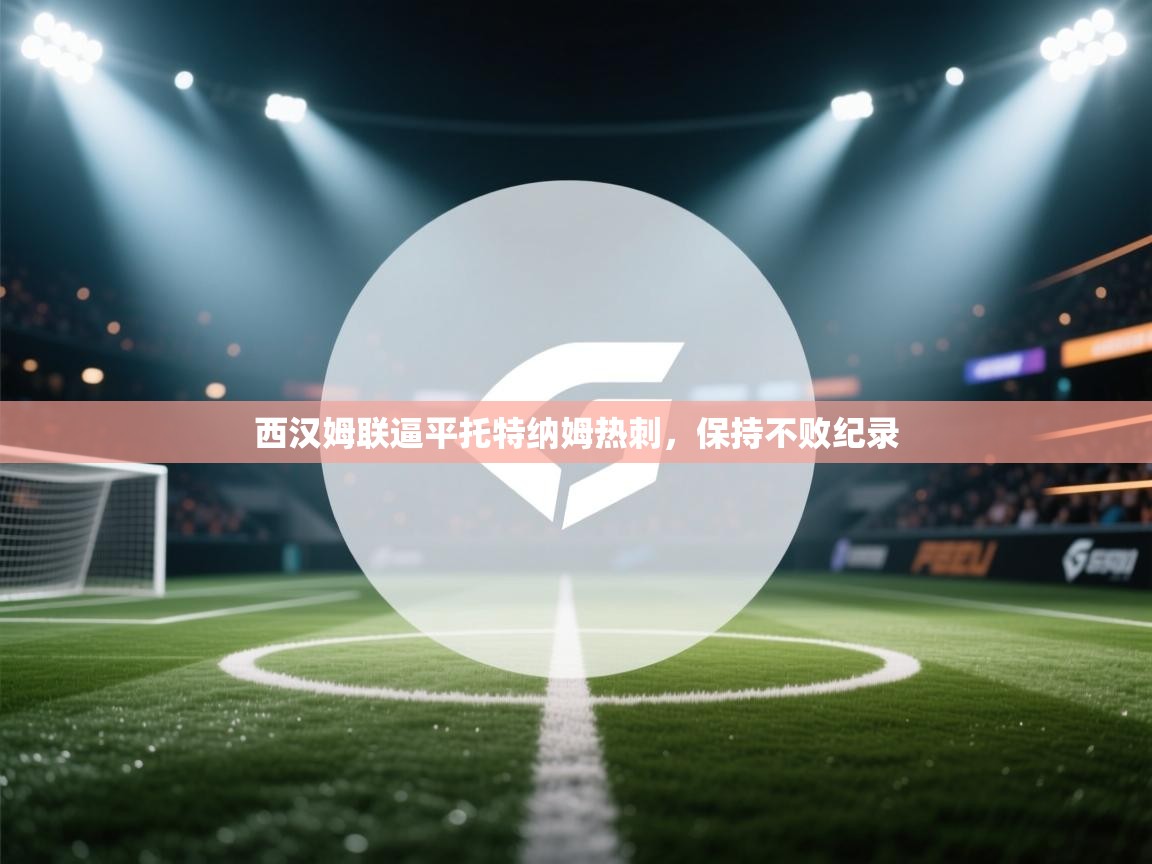 西汉姆联逼平托特纳姆热刺，保持不败纪录  第1张