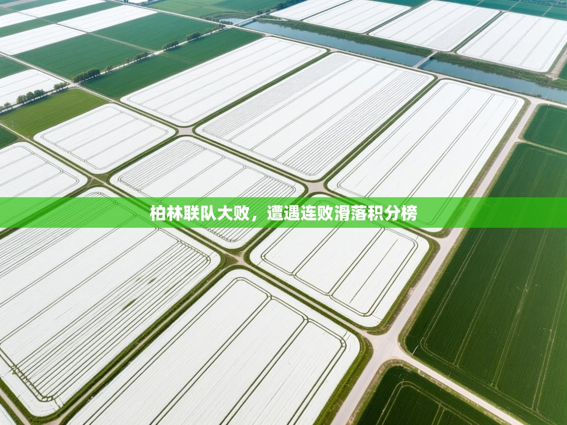 柏林联队大败，遭遇连败滑落积分榜  第1张