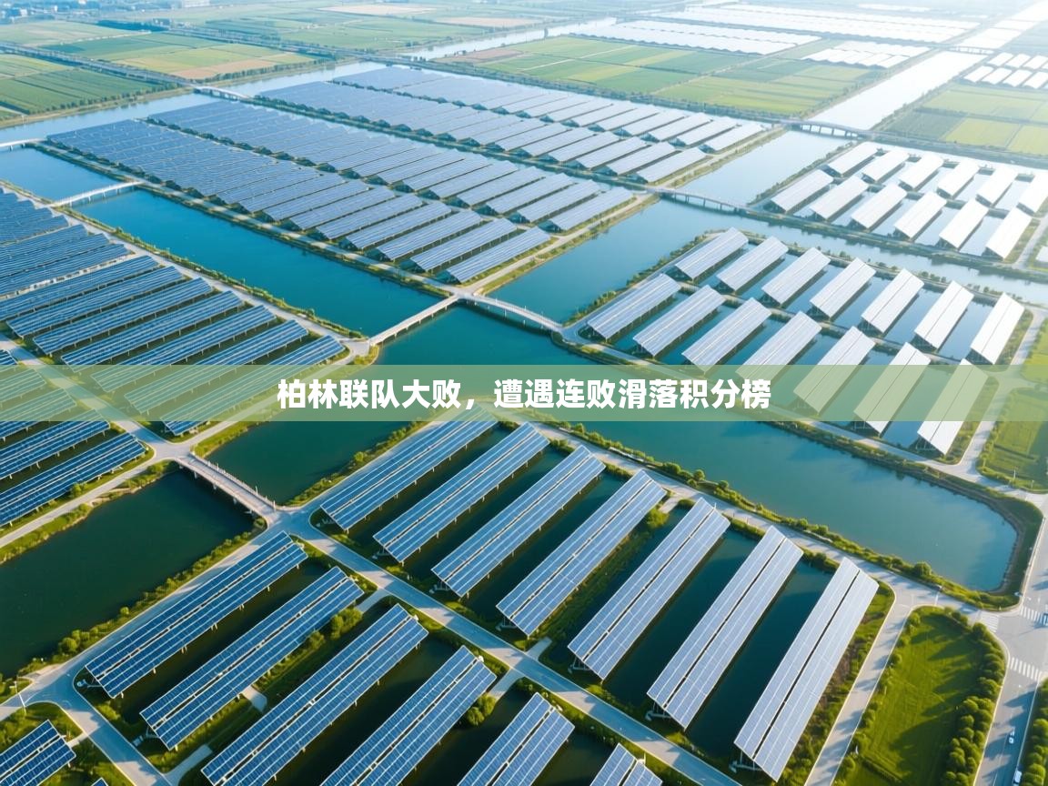 柏林联队大败，遭遇连败滑落积分榜  第2张