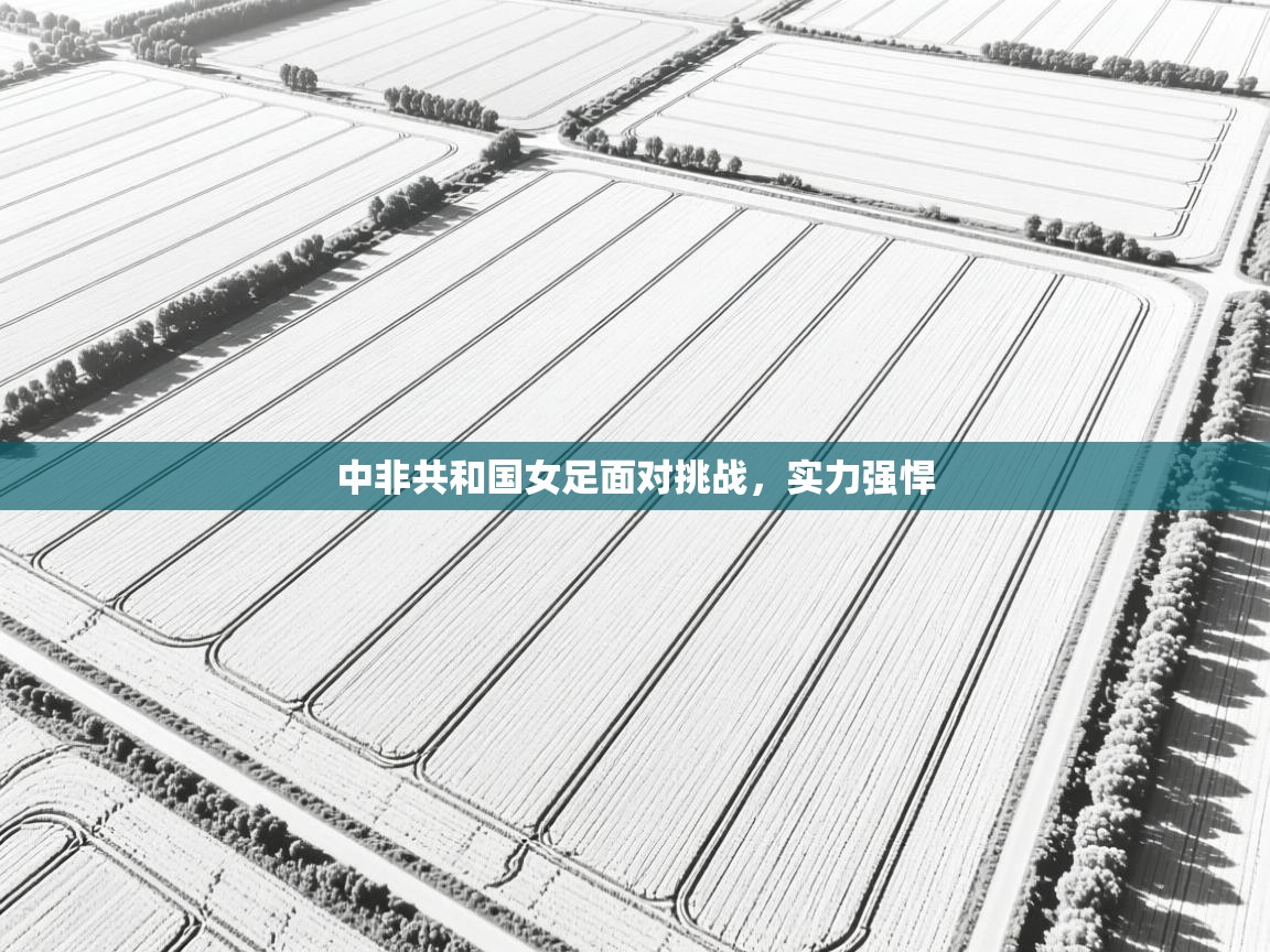 中非共和国女足面对挑战,实力强悍 第1张